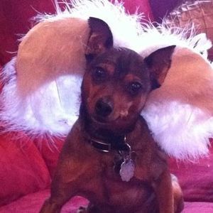 Meet your Posher, Marissa